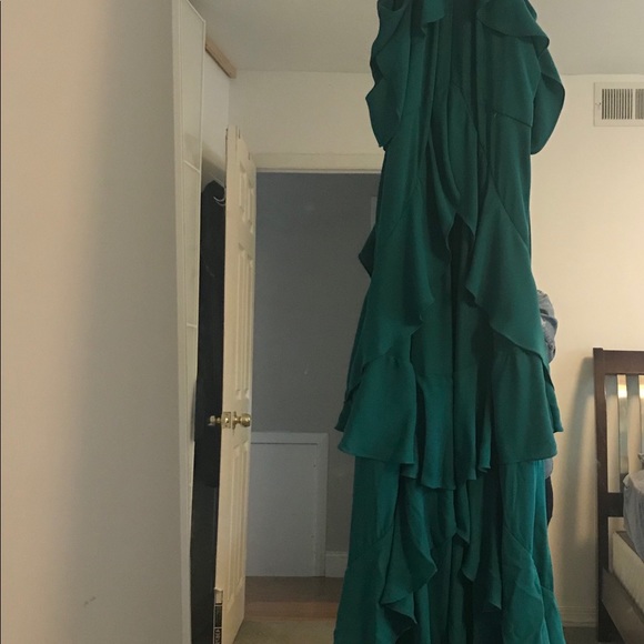 BCBG Max Azria Audrianna Dress - Picture 2 of 4